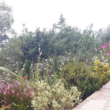 Anadine - Aiguebonne Boulouris - Pleine Vue - 4 Personnes - Climatisée - à 5 Min à Pied De La Villa *